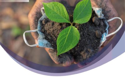 Cuidemos nuestros espacios verdes