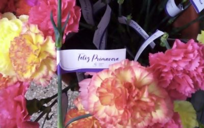 Primavera en Parque Azul